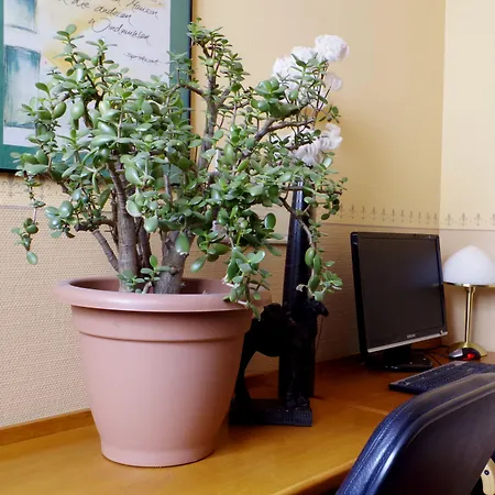 Merseburger Hof מלון לייפציג