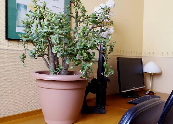 Merseburger Hof Hotel Lipsko